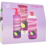 DB AROMA Raisins avec citron vert I. 2022 1×1 set, paquet cadeau