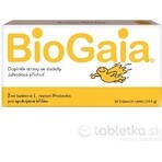 BioGaia ProTectis 1×10 pièces, comprimés à croquer - goût fraise