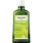 WELEDA Deodorant Citrus 1×200 ml, deodorant, refill - without spray