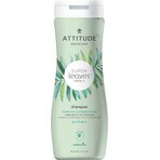 ATTITUDE Champú natural Super hojas con efecto desintoxicante - nutritivo para cabellos secos y dañados 1×473 ml, champú natural