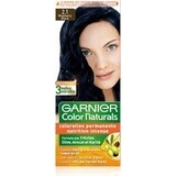 Garnier Color Naturals Permanent Hair Colour 2.10 Blue-Black 1×1 pièce, coloration de cheveux