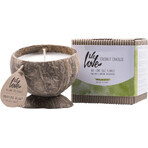 WE LOVE THE PLANET SOY CANDLE KO D.DELIGHT 190G 1×190g, lumânare de soia