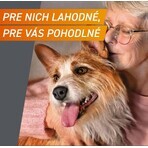 FRONTPRO® antiparasitic chewable tablets for dogs (25-50 kg) 1×3 tbl, antiparasitic tablets