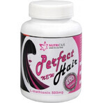 NUTRICIUS Perfect HAIR nouveau 1×100 tbl (méthionine 500 mg)