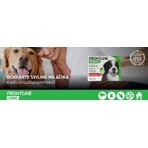 FRONTLINE COMBO spot-on pour CHIEN XL 3 x 4,02 ml 3x4,02 ml