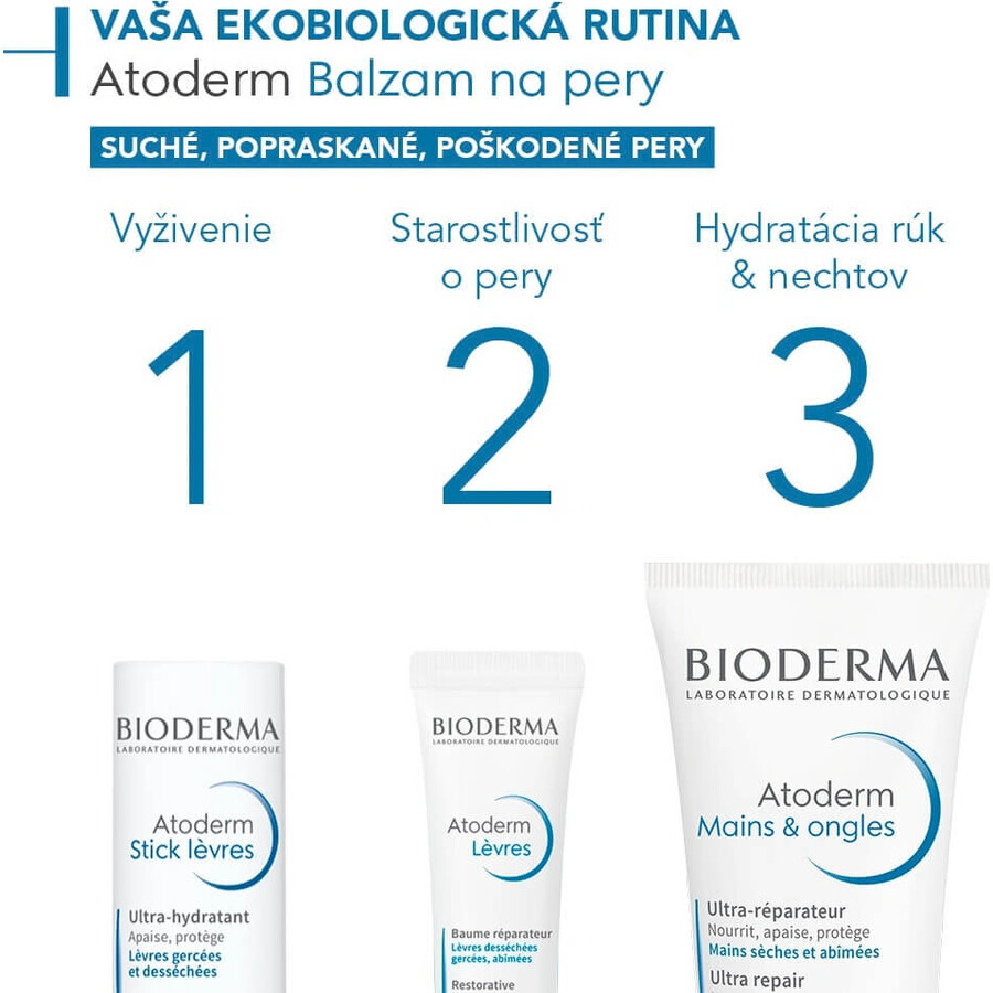 BIODERMA Atoderm Baume à lèvres 1×15 ml, baume à lèvres