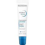 BIODERMA Atoderm Baume à lèvres 1×15 ml, baume à lèvres