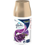 Glade Automatikspray - Lavendel Nachfüllpackung 1×269 ml, Nachfüllpackung für Lufterfrischer