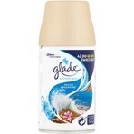 Glade Automatikspray - Lavendel Nachfüllpackung 1×269 ml, Nachfüllpackung für Lufterfrischer