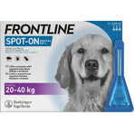 FRONTLINE spot-on pour CHIEN L 3 x 2.68 ml 3x2.68 ml