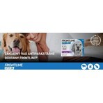 FRONTLINE spot-on pour CHIEN L 3 x 2.68 ml 3x2.68 ml