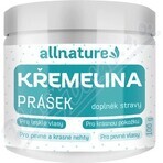 Allnature Kremelina poudre 100g 1×100g