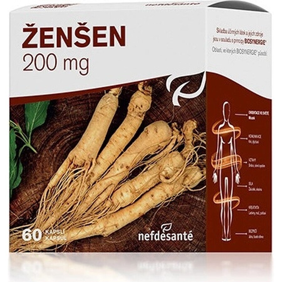 nefdesanté ŽENŠEN 200 mg 6×10 cps, complément alimentaire