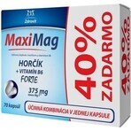 MaxiMag 40% libre 1×70 cps, 50+20 gélules