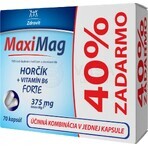 MaxiMag 40% libre 1×70 cps, 50+20 gélules