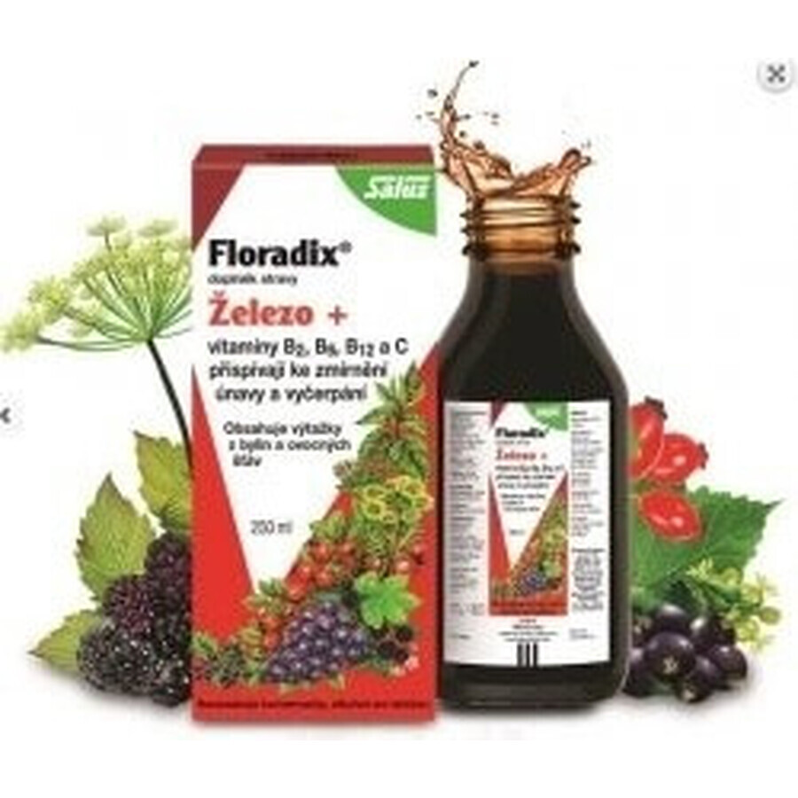 SALUS Floradix Gallexier 1×250 ml, liquid form