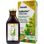 SALUS Floradix Gallexier 1×250 ml, liquid form