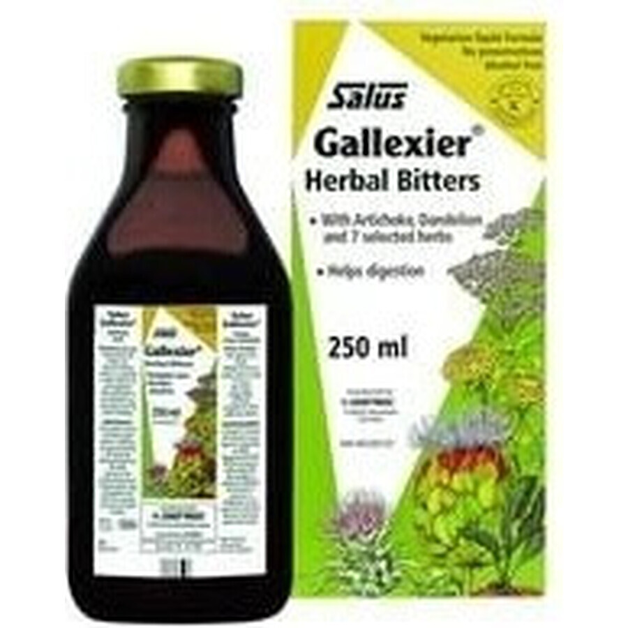 SALUS Floradix Gallexier 1×250 ml, liquid form