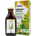 SALUS Floradix Gallexier 1×250 ml, liquid form