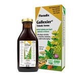 SALUS Floradix Gallexier 1×250 ml, liquid form