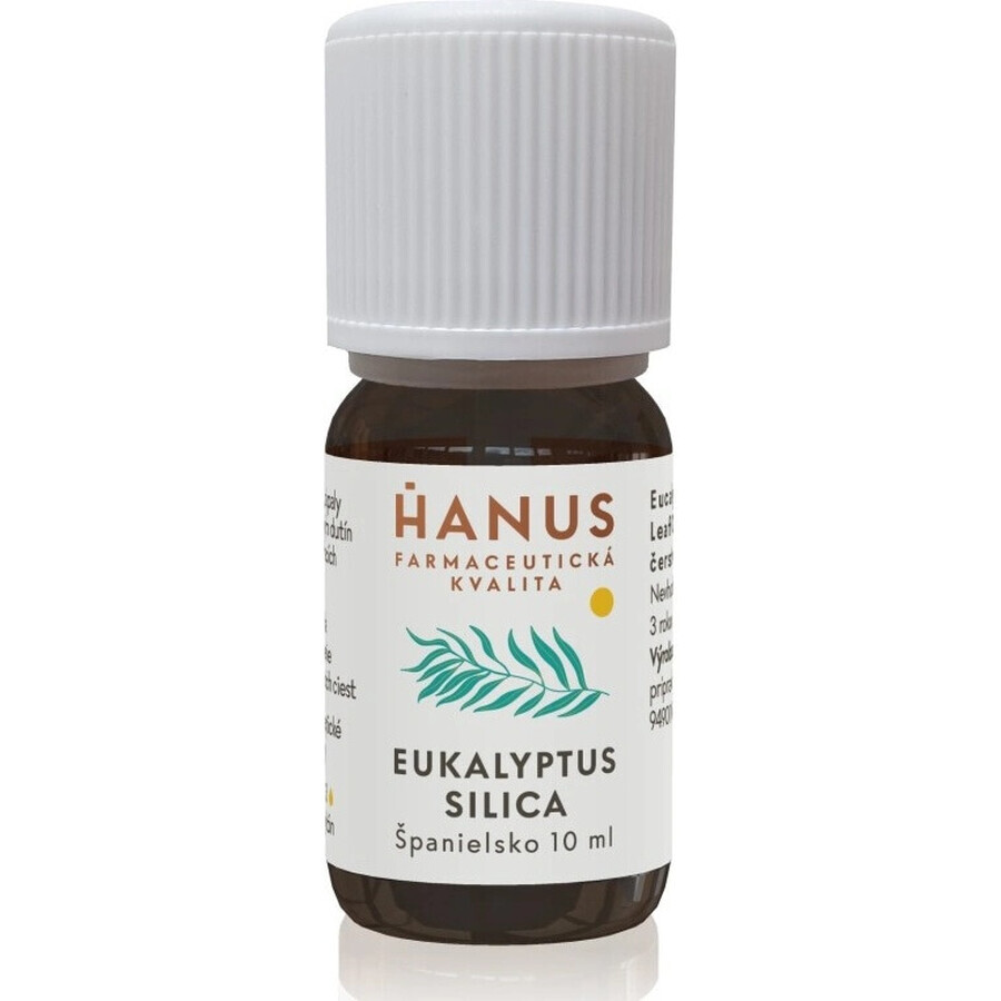 HANUS SILICA EUCALYPT 1×10 ml etherische olie