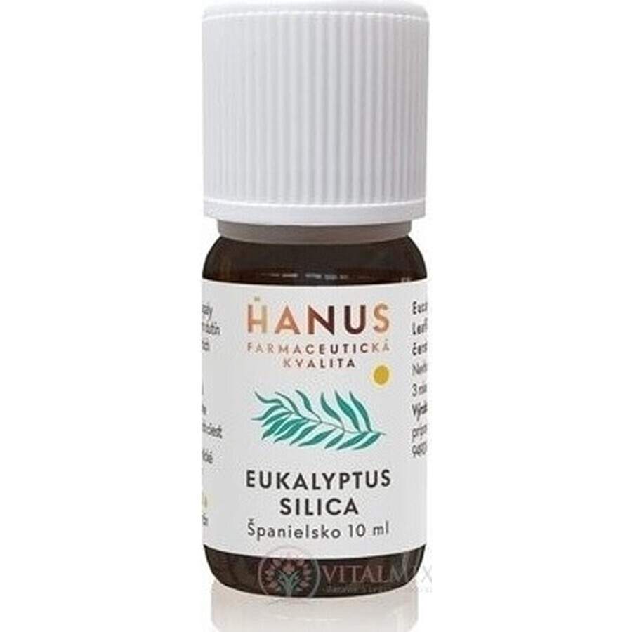 HANUS SILICA EUCALYPT 1×10 ml etherische olie