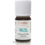 HANUS SILICA EUCALYPT 1×10 ml etherische olie