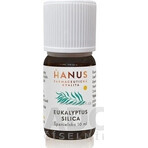 HANUS SILICA EUCALYPT 1×10 ml etherische olie