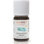 HANUS SILICA EUCALYPT 1×10 ml etherische olie