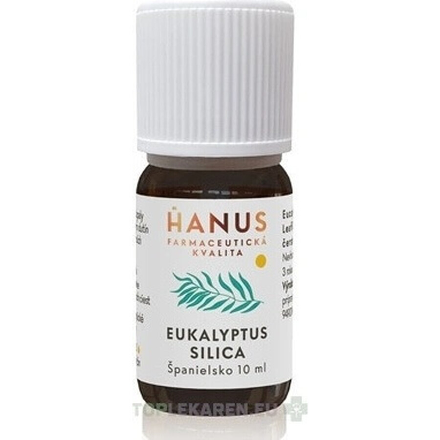 HANUS SILICA EUCALYPT 1×10 ml etherische olie