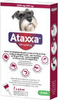 Ataxxa 1250 mg/250 mg (chiens de 10 kg &#224; 25 kg) 1&#215;2,5 ml, solution pour chiens