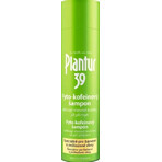 Plantur 39 Shampooing à la phyto-caféine pour cheveux colorés 1×250 ml, shampooing à la caféine