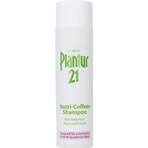 Plantur 39 Shampooing à la phyto-caféine pour cheveux colorés 1×250 ml, shampooing à la caféine