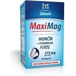 ZDROVIT MAXI MAG HORCIK+B6 FORTE 1×50 cps, complément alimentaire