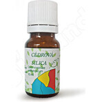 HANUS SILICA CEDAR 1×10 ml, huile essentielle