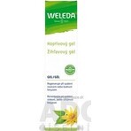 WELEDA Gel all'ortica 1×25 g