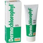 Dr. Müller DERMO CHLOROPHYL GEL 1×50 ml, skin gel