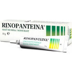 RINOPANTEIN Pommade nasale 1×10 g, pommade