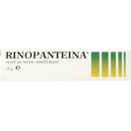 RINOPANTEIN Pommade nasale 1×10 g, pommade