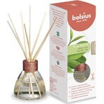 Bolsius Aromatic 2.0 Difuzor de ceai verde bețișoare parfumate 1×45 ml, parfum pentru apartament