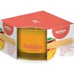 Bolsius Aromatic 2.0 Mango-Duftkerze Flasche 1×1 Stück, Größe 80 x 50 mm