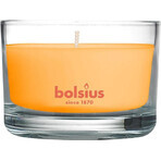 Bolsius Aromatic 2.0 Mango-Duftkerze Flasche 1×1 Stück, Größe 80 x 50 mm