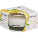 Bolsius Aromatic 2.0 Mango-Duftkerze Flasche 1×1 Stück, Größe 80 x 50 mm