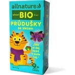 Allnature Organic Children's Tea Sinuses with Tears 20×1,5 g, thé pour enfants