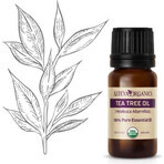 Alteya Organics Tea tree oil 1×10 ml, olio essenziale