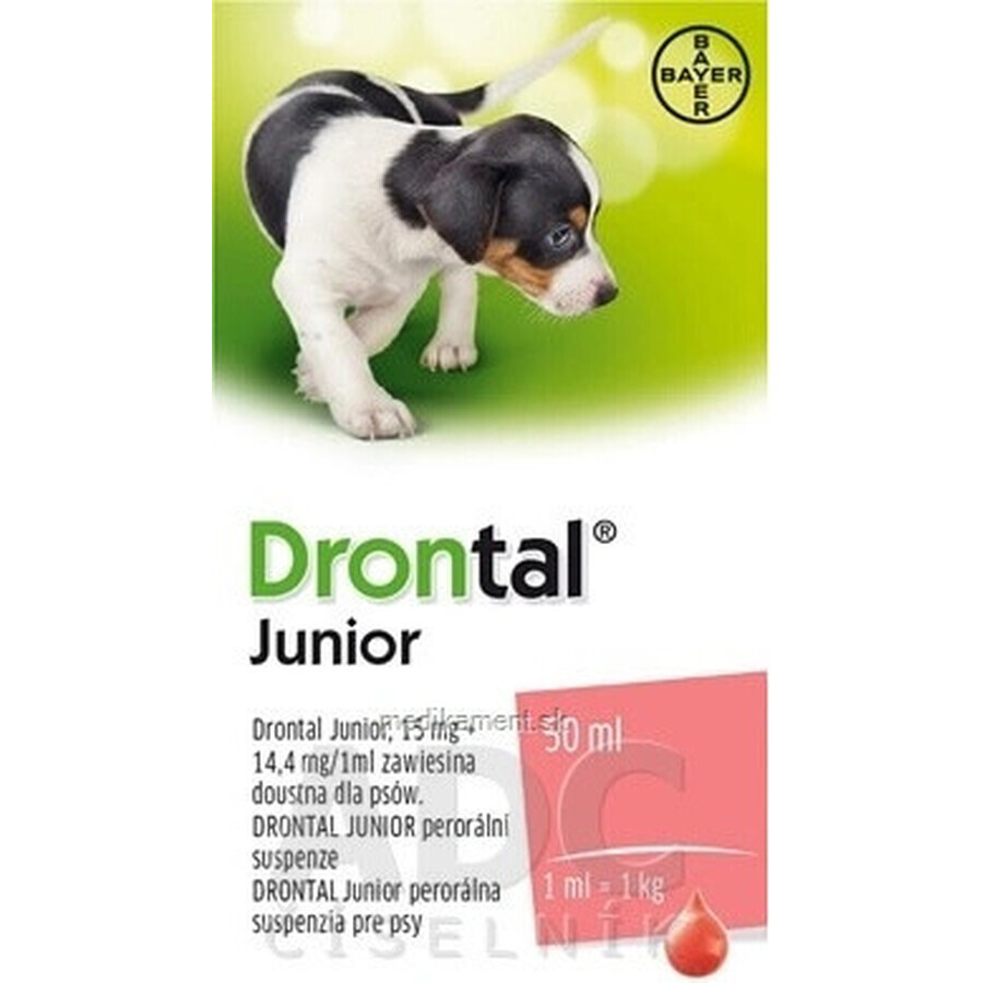 Drontal Junior 1×50 ml, oral suspension for dogs