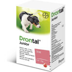 Drontal Junior 1×50 ml, oral suspension for dogs