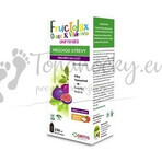 Fructolax Fruit et Fibre SIRUP 1×250 ml, sirop