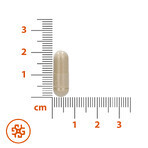 SEMA Lab MenoBalance, 30 capsules dures EMBALLAGE DEFECTUEUX