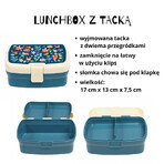 Rex London set, breakfast lunch box + tin, fairies